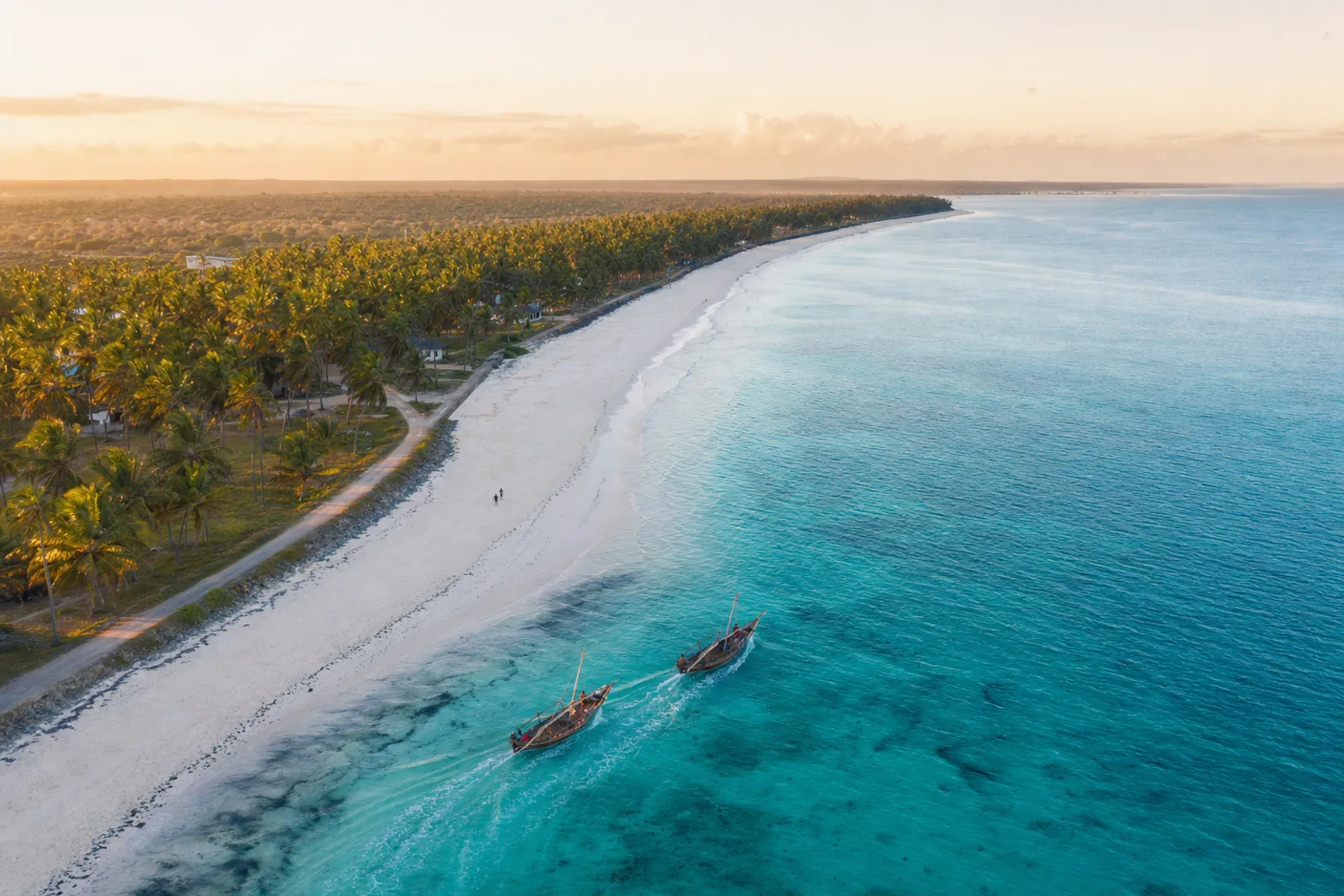 Wasini from Diani or from Mombasa: Which Departure Suits You?